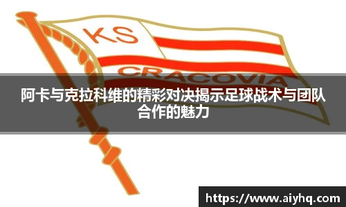 中欧体育网址